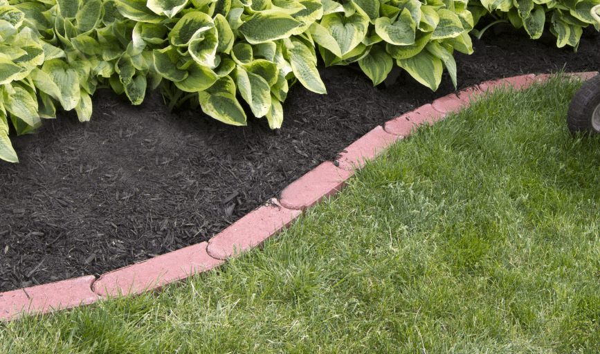Ez Lawn Care