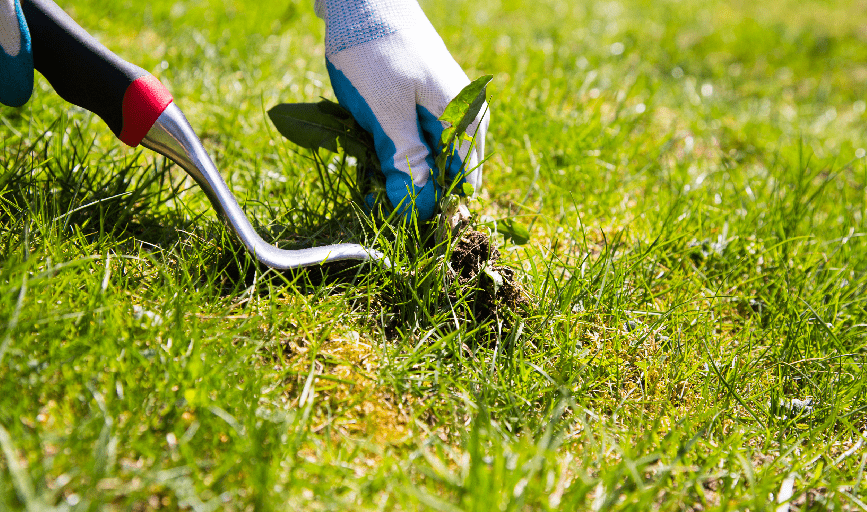 Ez Lawn Care